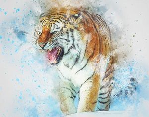 tora202154w1.jpg